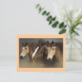 Carte postale avec chevaux (Debout devant)