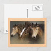 Carte postale avec chevaux (Devant / Derrière)