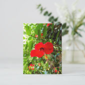 Carte postale avec couverture de fleur rouge (Debout devant)