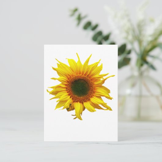 Carte Postale Avec Design Tournesol (Debout devant)