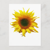 Carte Postale Avec Design Tournesol (Devant)