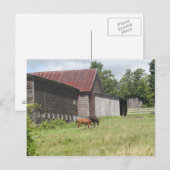 Carte postale avec deux chevaux et grange (Devant / Derrière)