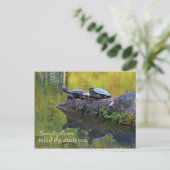 Carte postale avec devis (Debout devant)