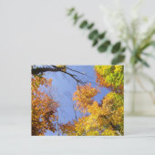 Carte postale avec feuilles d'automne (Debout devant)
