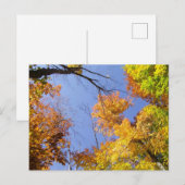Carte postale avec feuilles d'automne (Devant / Derrière)