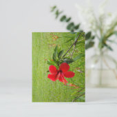 Carte postale avec fleur rouge sur la couverture (Debout devant)