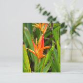 Carte postale avec fleurs orange sur la couverture (Debout devant)