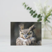 Carte postale avec Grand Chouette (Debout devant)