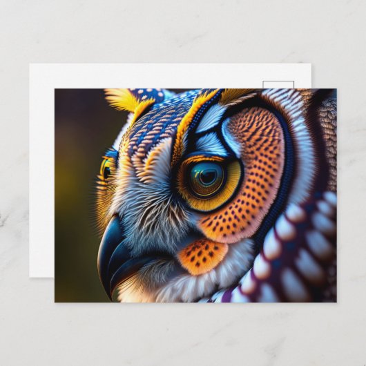 Carte postale avec hibou (Devant / Derrière)