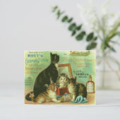 Carte postale avec illustration Vintage de chatons (Debout devant)