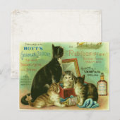 Carte postale avec illustration Vintage de chatons (Devant / Derrière)