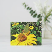 Carte postale avec la belle image d'été (Debout devant)