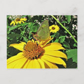 Carte postale avec la belle image d'été (Devant)