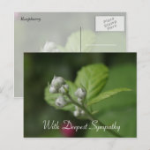 Carte Postale avec la plus profonde sympathie, fleur de frambois (Devant / Derrière)
