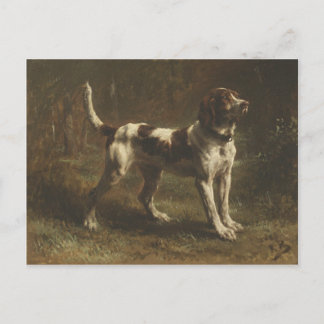 Carte Postale Avec Magnifique Peinture De Chien