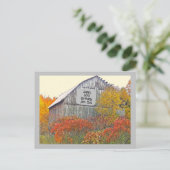 CARTE POSTALE AVEC PANNEAU JOYEUX ANNIVERSAIRE SUR (Debout devant)