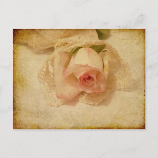 Carte postale avec Rose Vintage (Devant)