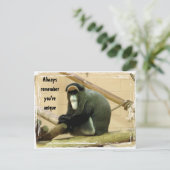 Carte postale avec singe (Debout devant)