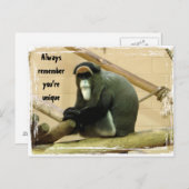 Carte postale avec singe (Devant / Derrière)