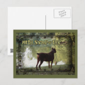 Carte Postale Avec sympathie - Doberman surplombant un lac (Devant / Derrière)