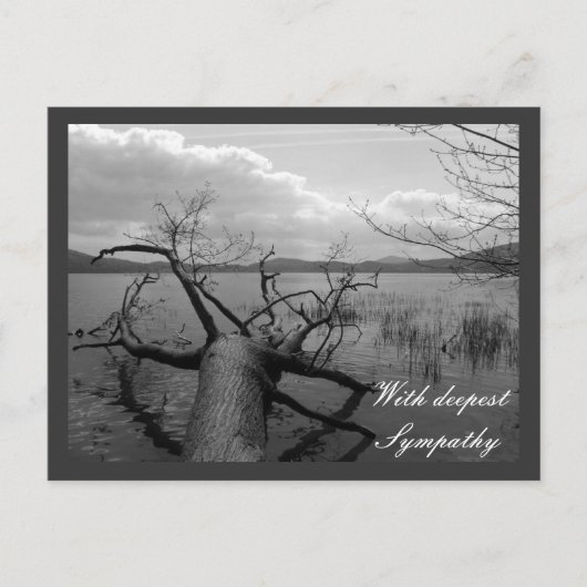Carte Postale Avec une profonde sympathie (Devant)