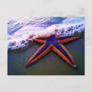 CARTE POSTALE AVENIR