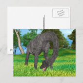 Carte Postale Aventure de dinosaure à long cou dans la jungle (Devant / Derrière)