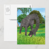 Carte Postale Aventure de dinosaure à long cou dans la jungle (Devant / Derrière)