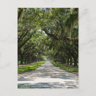 Carte Postale Avenue Des Chênes