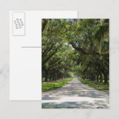 Carte Postale Avenue Des Chênes (Devant / Derrière)