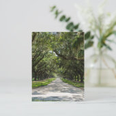 Carte Postale Avenue Des Chênes (Debout devant)