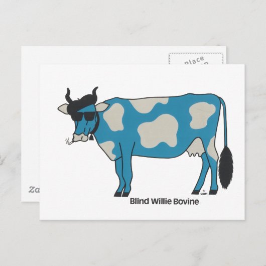 Carte postale aveugle de bovin de Willie (Devant / Derrière)