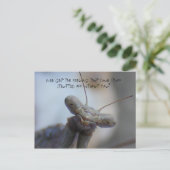 Carte Postale Avez-vous déjà eu l'impression que vos affaires .. (Debout devant)