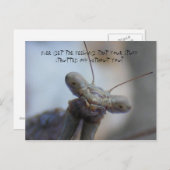 Carte Postale Avez-vous déjà eu l'impression que vos affaires .. (Devant / Derrière)