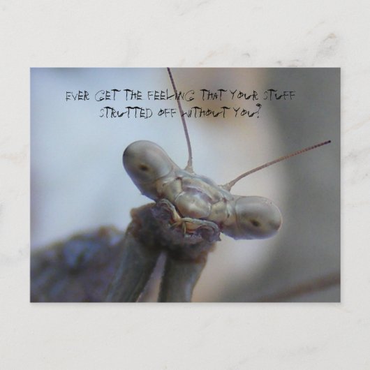 Carte Postale Avez-vous déjà eu l'impression que vos affaires .. (Devant)