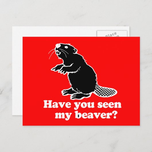 CARTE POSTALE AVEZ-VOUS VU MON BEAVER ? (Devant / Derrière)