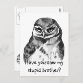 Carte Postale Avez-vous vu mon frère idiot - chevêche des terrie (Devant / Derrière)