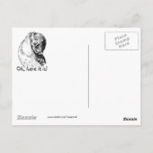 Carte Postale Avez-vous vu mon frère idiot - chevêche des terrie (Dos)