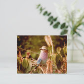 Carte Postale Aviaire (Debout devant)