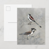 Carte Postale Aviaire argenté | Une paire (Devant / Derrière)