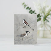 Carte Postale Aviaire argenté | Une paire (Debout devant)