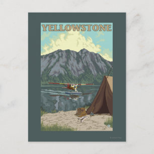 Carte Postale Avion Bush et pêche - Yellowstone National