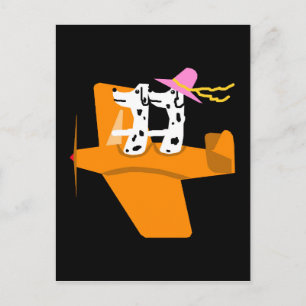 Carte Postale Avion et Dalmatie