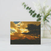 Carte postale Avions africains (Debout devant)