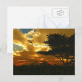 Carte postale Avions africains (Devant / Derrière)