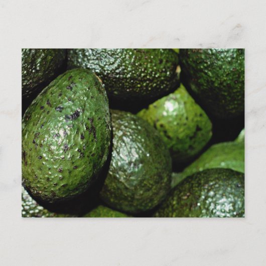 Carte Postale Avocat vert unique (Devant)