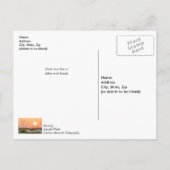 Carte Postale Avoines de mer de Floride Lever de soleil Pensées  (Dos)