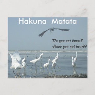 Carte Postale Avoir un produit de Personnaliser de jour Nice