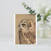 Carte Postale Avoir un tuyau (Debout devant)