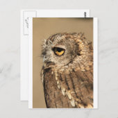 Carte Postale Avoir un tuyau (Devant / Derrière)